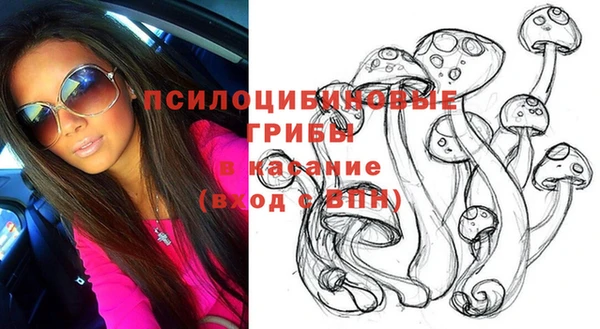 мяу мяу кристалл Гусев