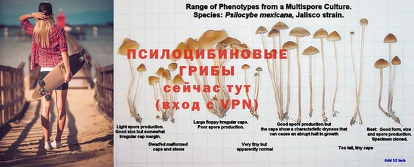 ешки Гусь-Хрустальный